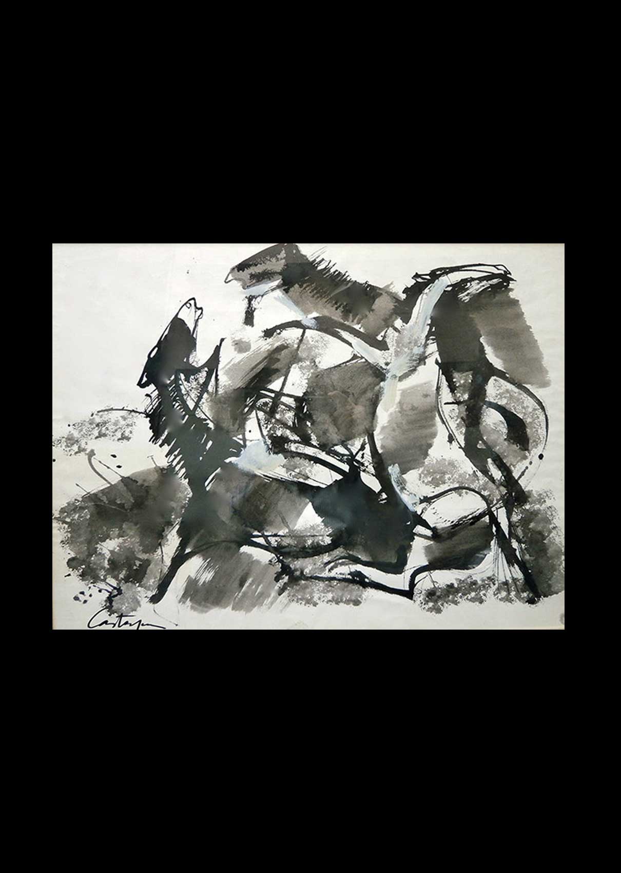 Lucha de Potros (Mixta)