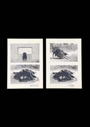 Serie Pancartas