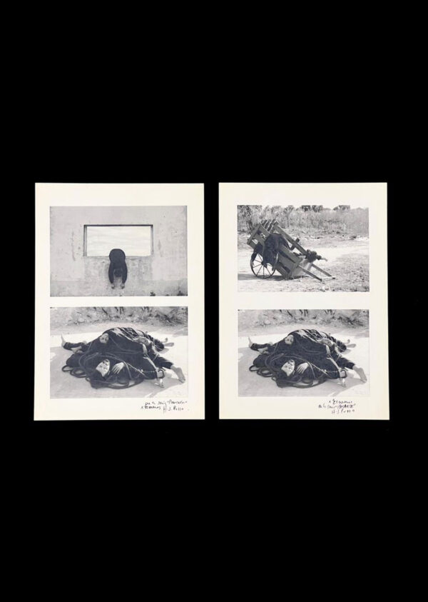 Serie Pancartas